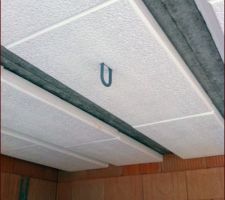 L'anneau pour le palan dans le garage!