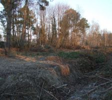 Aux alentours du terrain : un fossé, des chênes, des pins... tranquilles...