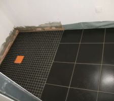 SDE parentale : il ne manque que la faïence