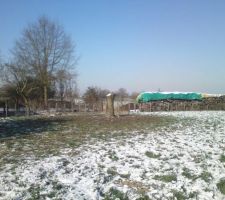 Terrain avant piquetage