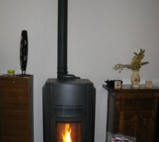 Po&ecirc;le &agrave; granules PALAZETTI (9kw). SUPER_TOP