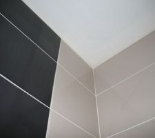 SDE parents : d&eacute;tail plafond douche