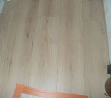 Parquet du rdc mais il est couvert pour le moment