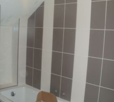 Baignoire de la sdb