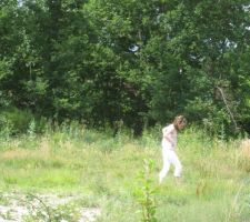 Le terrain avant son achat.