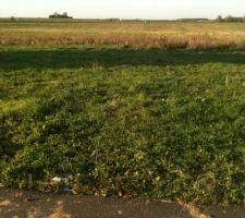 Achat du terrain 54800 euros pour 855m2