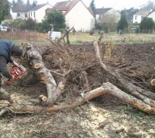 Récupération pour bois de chauffage !