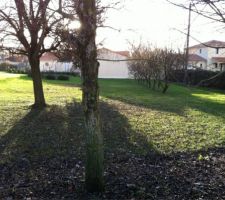 Terrain avec en pr&eacute;vision des arbres &agrave; faire tomber.