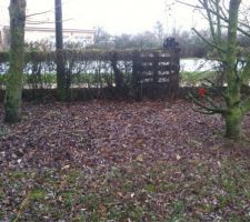 Terrain avec en pr&eacute;vision des arbres &agrave; faire tomber.