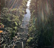 Il va falloir bus&eacute;e le foss&eacute; mais ce sera pour plus tard.