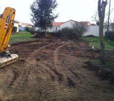 Adieu l'herbe ;o)