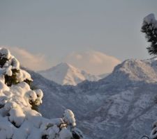 La neige est tombée cet hiver