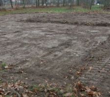 Décapage après abattage d'une quarantaine d'arbres !