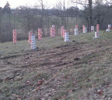 Plots dans coffrage