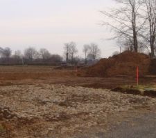 Le tallu et les arbres enlev&eacute;es! Nous gagnons a peu pr&eacute;s 70m2!