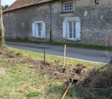 ... de piquets et autres petits arbustes à déterrer !