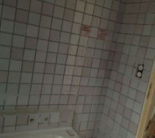 Les 2 pat&egrave;res (autre angle)