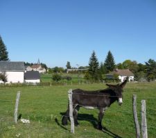 Le terrain et son habitant