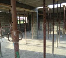 Une jolie for&ecirc;t d'&eacute;tais !!!