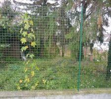 Premiere visite du terrain fin 2009