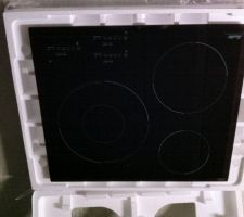 Plaque Sauter re&ccedil;ue