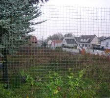 Photo terrain et terrain mitoyen (a droite)