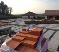 Pose des Planchers !!!!!!!!

BIG TRAVAUX !!!!!!!! 130 M&sup2; !!!