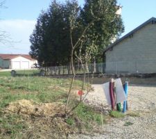 Lila avant déplacement