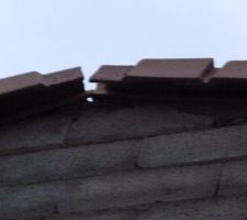 Tuile envol&eacute;e