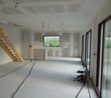 Peinture pi&egrave;ce de vie.