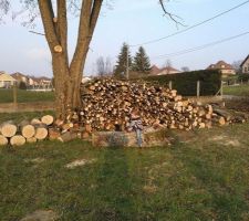Voila tous le bois que ça donne !! on aura de quoi se chauffer