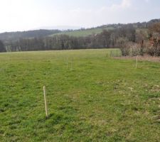 Les petits piquets sont l&agrave; !