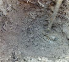 Oups, y'aurait-il un camion qui n'aurait pas vu le tuyau ??? sympa les surprises du dimanche !!!