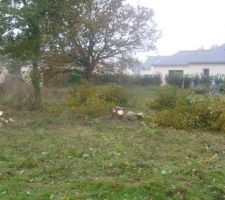 Gros nettoyage du terrain, pas le choix quelques chenes &agrave; abattre..!!