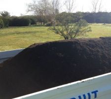 Compost pour le potager