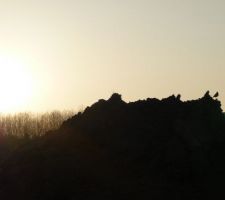 Un premier invité sur le terrain... vous le voyez?