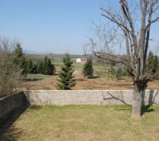 Jardin et vue grace aux sapins qui ont ete recemment coupes