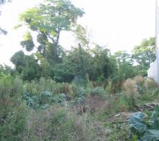 Haut du terrain avant