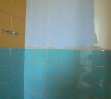 La pose est contr&ocirc;l&eacute;e avec un Niveau Laser en croix Bosch Quigo. (visible sur la photo)