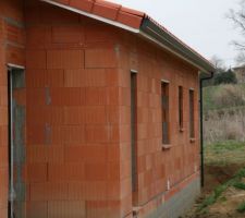 Les gouttières, face nord