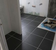 Carrelage sdb, manque les plinthes   la fa&iuml;ence
