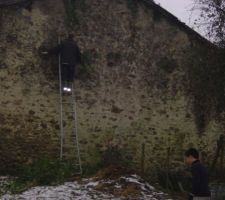 Enfin le liere a disparu de la grange