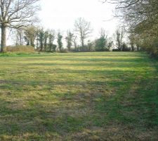 Terrain tondu , nikel