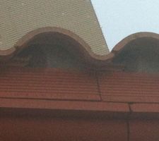 Tuiles salon apres pluie