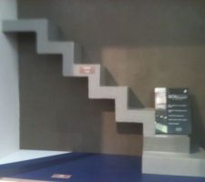Les escalier que mme veut béton ciré avec un garde corp vis a vis des enfants
