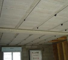 Suspentes pour hourdis