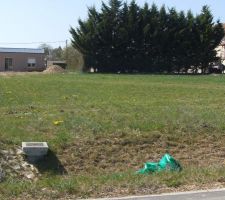 Voici le terrain depuis la route près de la borne.