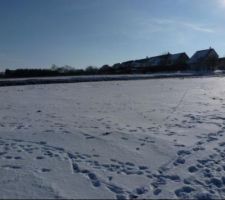 Notre terrain sous la neige, d&eacute;but f&eacute;vrier 2012.