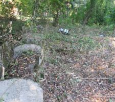 Et trouvaille de bancs enfouis sous les ronces!