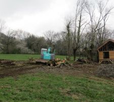 Abattage des derniers arbres malades